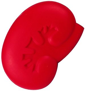 3.2cm Anti Stress Reliever Kidney