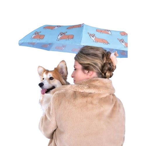 Duck Compact Umbrella – Coucou Suzette Corgi Mint 