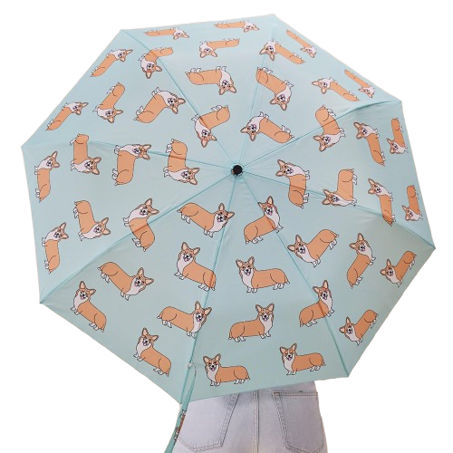 Duck Compact Umbrella – Coucou Suzette Corgi Mint 