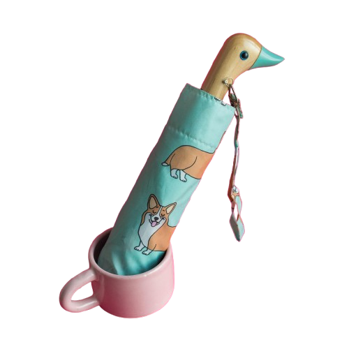 Duck Compact Umbrella – Coucou Suzette Corgi Mint 