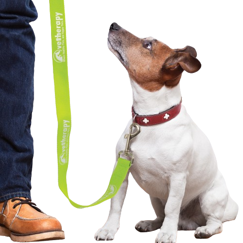 Trek Dog Leash 