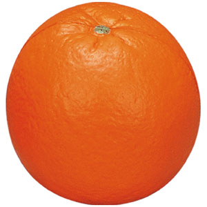 Anti Stress Reliever Orange Shape