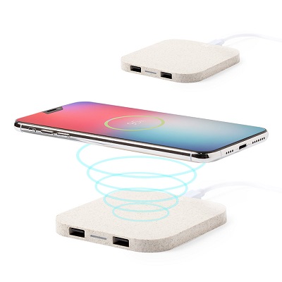 Curt Wireless Charger