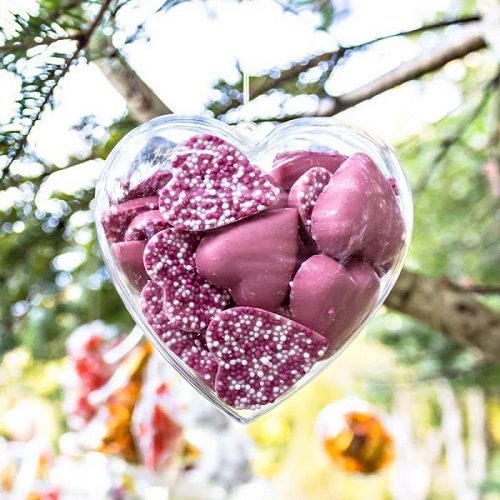 Heart Shaped Clear Plastic Ornament 