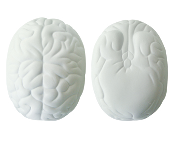 Stress Reliever PU Brain White