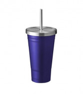 500ml Stainless Steel Tumbler