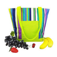 Aiden Beach Cooler Bag 