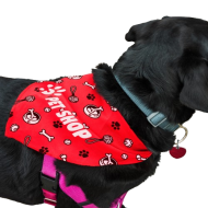 Pet Bandana - Large 