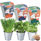 Herb Potting Sets - Basil, Chives, Parsley