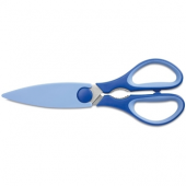 Scissors with magnet and shead