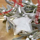 Star Shaped Clear Plastic Ornament 