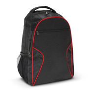 Two Compartment Laptop Backpack 