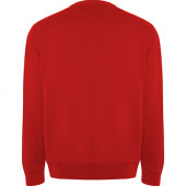 Unisex Aubin Sweatshirt 